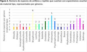 Número de especies de anfibios y reptiles que cuentan con especímenes voucher de material tipo, representados por géneros.