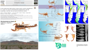 Nueva especie de escorpión de los Andes centrales argentinos