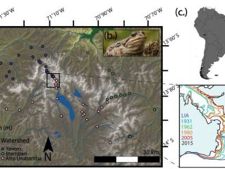 La expansión de los anfibios a mayores elevaciones modula la dinámica de infección del hongo quí
